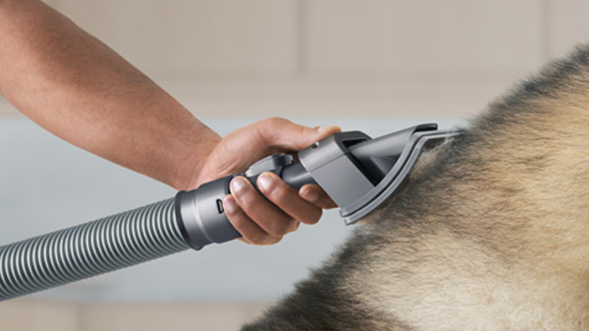 Pet groom tool capturing loose hair