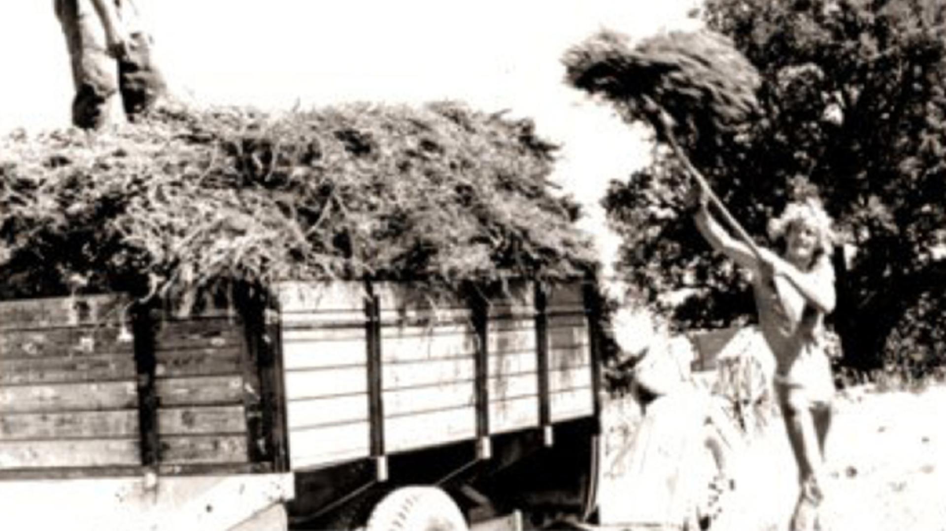 James Dyson stood next to a truck filled with lavender