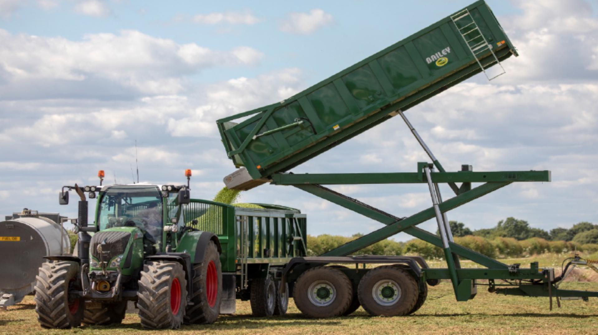 Pea harvest trailers being emptied into larger capacity trailers