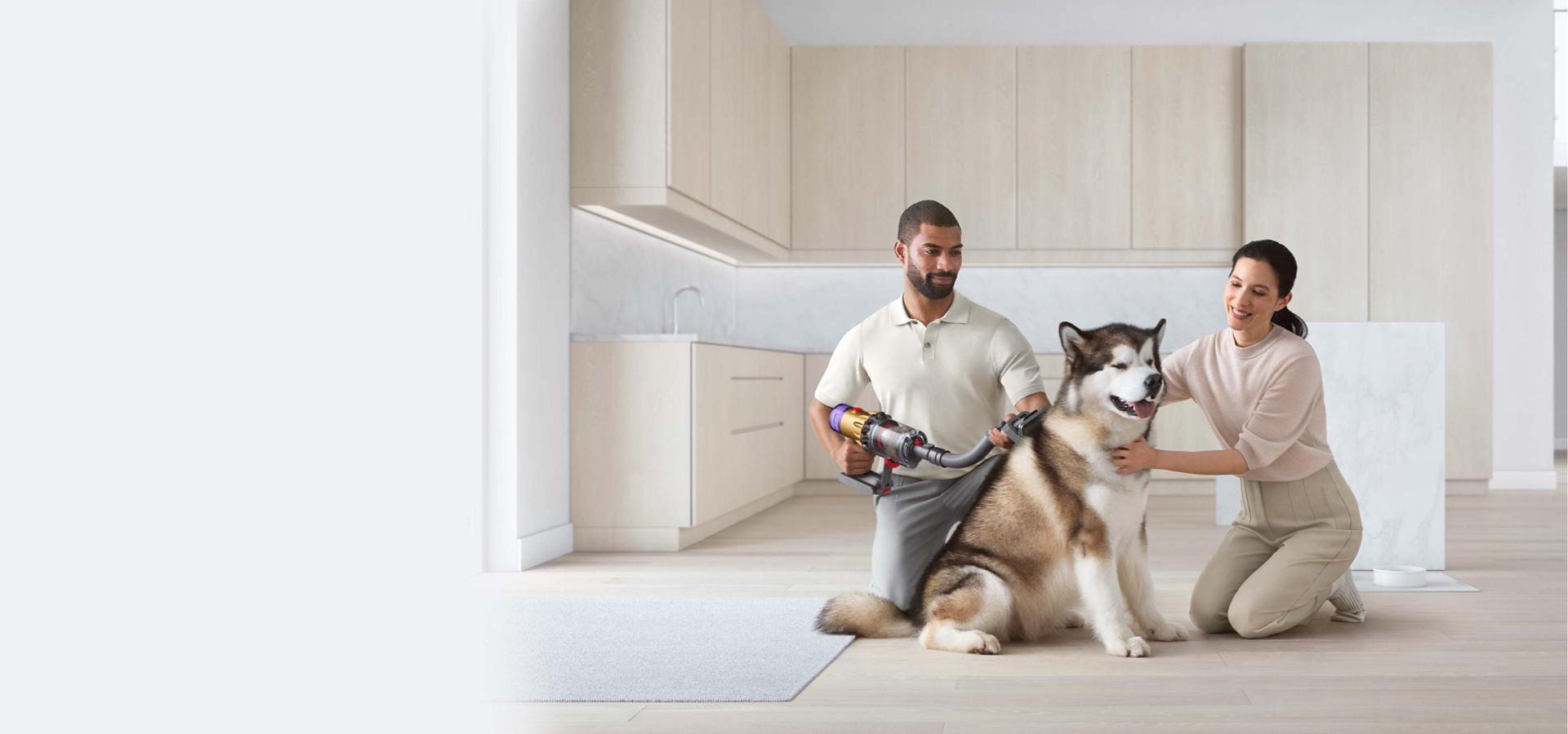 Pet groom tool brushing a dog