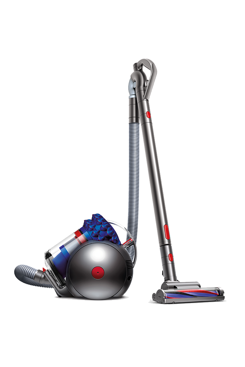 Dyson Cinetic Big Ball Animal+ vacuum